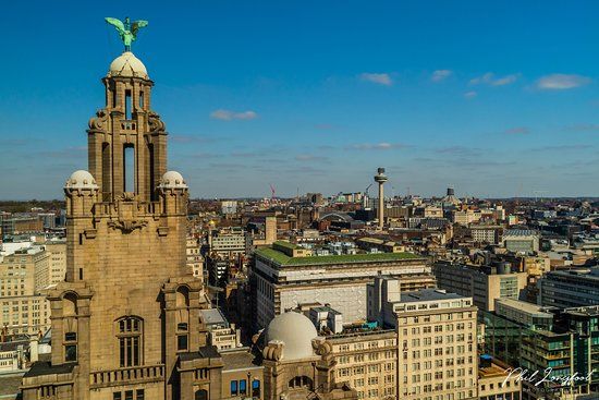 Budynek Liver Building